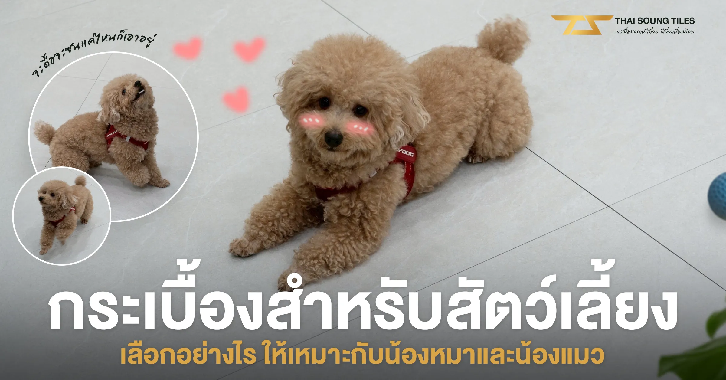 กระเบื้องยางพื้น-SPC-ดีไหม-?-รู้ไว้ก่อนใช้งานจริง1